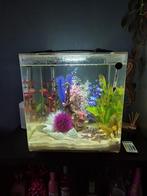 Biorb cube 60, Dieren en Toebehoren, Ophalen, Gebruikt, Leeg aquarium