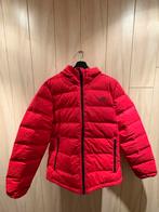 Adidas winter / tussen jas maat M, Ophalen of Verzenden, Gedragen, Maat 48/50 (M), Rood