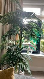 Kunst palm, Ophalen, Overige soorten, 150 tot 200 cm
