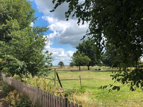 Oud weidemaatje D/E pony gezocht, Dieren en Toebehoren, Stalling en Weidegang, Stalling