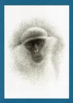 Pentekening Groene Meerkat Malta door Theo Zwinderman., Ophalen of Verzenden, Zo goed als nieuw