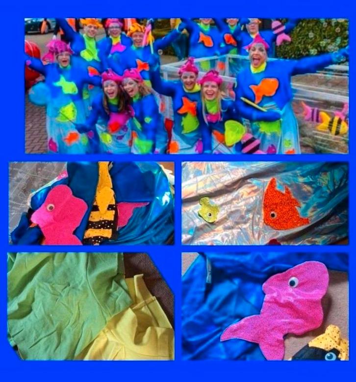 14 Vissen Carnavalspakken Loopgroep XS-XXL, Kleding | Dames, Carnavalskleding en Feestkleding, Ophalen of Verzenden