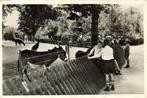 Wandelbosch Groenendaal, Heemstede, Dierenpark - volk ezel p, Ophalen of Verzenden, Voor 1920, Gelopen, Noord-Holland
