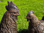 HAAN EN HEN / Tuinbeeld / Setprijs / Brons/ Kippen, Ophalen of Verzenden, Nieuw, Boerderijdier, Opgezet dier