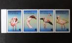 Angola - vogels - Flamingo - serie van 4 zegels 1999 postfr., Ophalen of Verzenden, Postfris, Dier of Natuur
