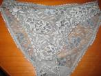 Blauw/grijze slip, 40, Kleding | Dames, Ondergoed en Lingerie, Slip, Blauw, Ophalen of Verzenden