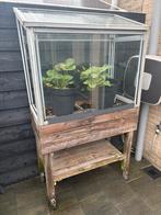 Kweekbak met glas., Tuin en Terras, Kweekspullen, Ophalen, Gebruikt, Kweekbak
