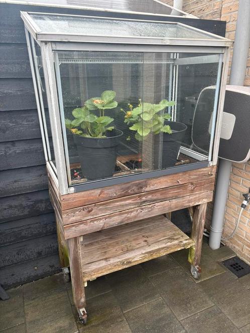 Kweekbak met glas., Tuin en Terras, Kweekspullen, Gebruikt, Kweekbak, Ophalen