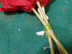 kunstbloemen amaryllis, 4 x 3 stuks, Ophalen of Verzenden