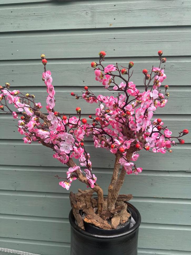 Kersenbloesem Boom handmade  - Nieuw, Huis en Inrichting, Woonaccessoires | Kunstplanten en Kunstbloemen, Nieuw, Binnen, Ophalen
