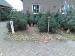Prachtige kerstbomen, Ophalen, Nieuw