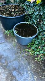 Speciekuipen, Ophalen, Kunststof, Gebruikt, Rond