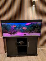 Juwel Aquarium 120 cm breed. Leeg en schoon+steentjes, Ophalen, Leeg aquarium