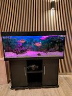 Juwel rio 240Aquarium 120 cm breed., Dieren en Toebehoren, Vissen | Aquaria en Toebehoren, Ophalen, Leeg aquarium