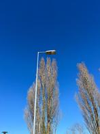 Lichtmasten, paardenbakverliching, Tuin en Terras, Buitenverlichting, Ophalen, Gebruikt, Minder dan 50 watt