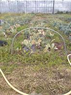 Tunnel bogen, Tuin en Terras, Ophalen, Overige materialen, Zo goed als nieuw, Staal