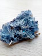 Zeldzame Blauwe Fluoriet heldere cluster, Yindu, China, Ophalen of Verzenden, Mineraal