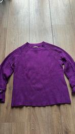 Paarse trui met mooie polssluiting, Ophalen of Verzenden, Zo goed als nieuw, Maat 42/44 (L), Paars