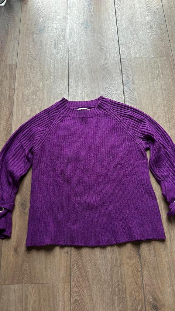 Paarse trui met mooie polssluiting, Kleding | Dames, Truien en Vesten, Zo goed als nieuw, Maat 42/44 (L), Paars, Ophalen of Verzenden