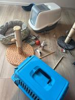 Verschillende kattenspullen, Dieren en Toebehoren, Katten-accessoires, Ophalen of Verzenden, Zo goed als nieuw