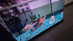Aquarium + sluierstaart visjes + toebehoren, Ophalen of Verzenden, Zo goed als nieuw