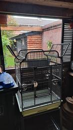 Grote vogelkooi, degelijke kwaliteit!, Dieren en Toebehoren, Ophalen of Verzenden, Metaal, Vogelkooi