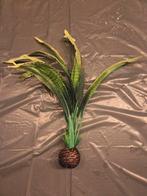 Aquarium plantje groen, Dieren en Toebehoren, Vissen | Aquaria en Toebehoren, Ophalen, Zo goed als nieuw, Plant(en), Steen of Hout