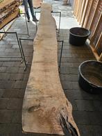 Boomstamplank / schaaldeel 425 lang, Nieuw, 250 cm of meer, Ophalen, Planken