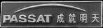 Volkswagen Passat China pin, Verzenden, Nieuw, Transport, Speldje of Pin
