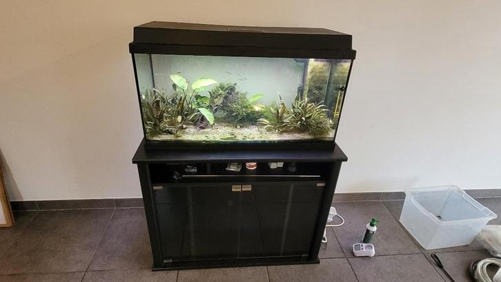 Juwel Aquarium 81x36x45 cm Zwart 110 L Met toebehoren, Dieren en Toebehoren, Vissen | Aquaria en Toebehoren, Gebruikt, Gevuld zoetwateraquarium