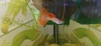 Red lace albino guppen raszuiver, Dieren en Toebehoren, Vissen | Aquariumvissen, Vis, Zoetwatervis