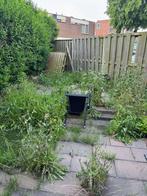 Hovenier tuinonderhoud snoeien onkruid tegels bestrating, Garantie, Tuinontwerp