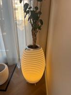 Kooduu speaker synergy 65S met verlichting en wijnkoel optie, Ophalen, Zo goed als nieuw, Wit, 50 tot 75 cm