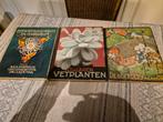 Verkade plaatjes albums, Ophalen of Verzenden, Gelezen