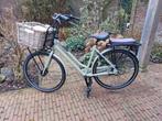 Damesfiets groen/grijs Gazelle havy duty met rieten mand, Minder dan 47 cm, Ophalen of Verzenden, Gebruikt, Overige merken