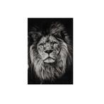 Glasschilderij Lion - zwart/wit - Leeuw, Ophalen of Verzenden, Nieuw
