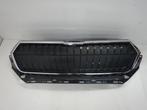 Grille Skoda Diversen (22726715), Ophalen of Verzenden, Gebruikt