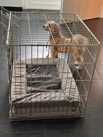 Hondenbench 60x 54 x 62, Dieren en Toebehoren, Ophalen of Verzenden, Gebruikt