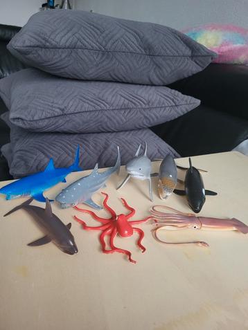 Zeedieren speelgoed  beschikbaar voor biedingen