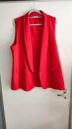 Gave gilet, Ophalen of Verzenden, Nieuw, Maat 46/48 (XL) of groter, Rood