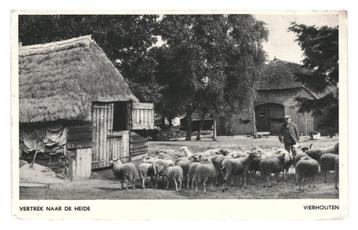 975823 Vierhouten G1953 Schaapskudde Gelopen met postzegel beschikbaar voor biedingen