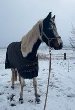 Weidemaatje gezocht, Dieren en Toebehoren
