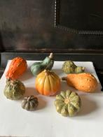 Stenen aardewerk pompoen, kalebas, 8 stuks herfst decoratie., Huis en Inrichting, Woonaccessoires | Overige, Ophalen of Verzenden