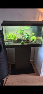 Juwel primo 60 met meubel standaard, Ophalen, Zo goed als nieuw, Leeg aquarium