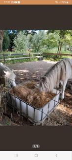 Hooibak kunstof mer slowfeeder, Dieren en Toebehoren, Paarden en Pony's | Overige Paardenspullen, Ophalen