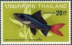 THAILAND 4 - Dieren: vissen (vuurstaartlabeo), Ophalen of Verzenden, Postfris, Dier of Natuur