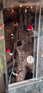 Hoog terrarium 215cm ivm onderkast en bovenkant, Dieren en Toebehoren, Ophalen, Gebruikt