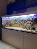 Aquarium 180x60x60, Dieren en Toebehoren, Vissen | Aquaria en Toebehoren, Ophalen, Gebruikt, Leeg aquarium