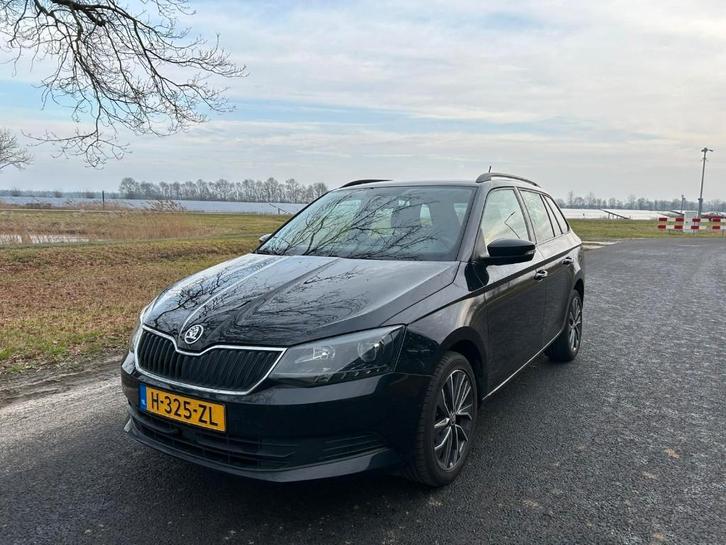 Nette Skoda Fabia 1.0 TSI Greentech 95pk 2018 zwart navi etc, Auto's, Skoda, Bedrijf, Fabia, ABS, Airbags, Airconditioning, Alarm