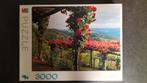 Puzzel 3000 stukjes, compleet, Hobby en Vrije tijd, Denksport en Puzzels, Ophalen of Verzenden, Meer dan 1500 stukjes, Zo goed als nieuw